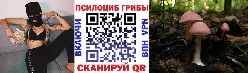 Псилоцибиновые грибы Cubensis  Бронницы 